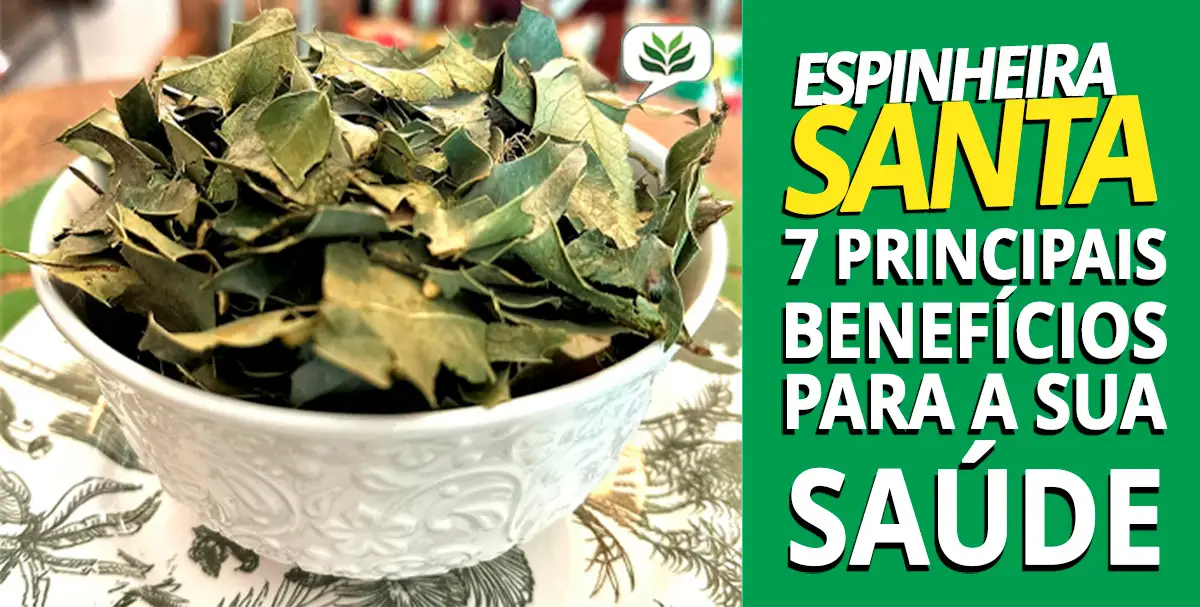 Incr Veis Benef Cios Da Espinheira Santa Blog Herbal Vita