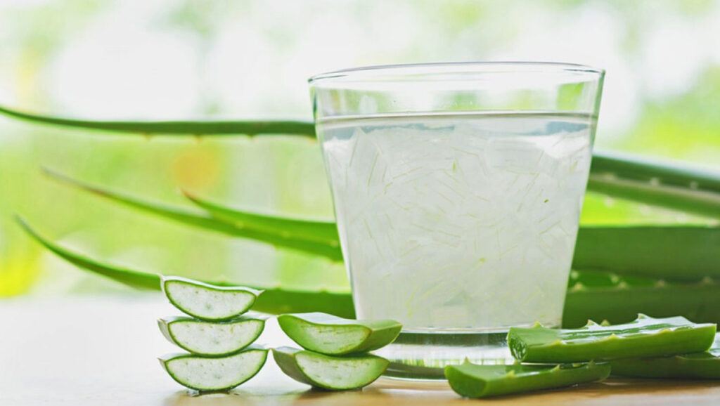 suco de aloe vera