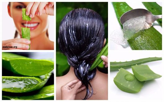 aloe vera no cabelo