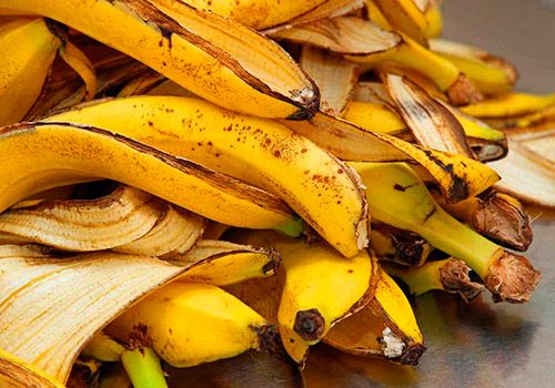 Chá de casca de banana e outras aplicações