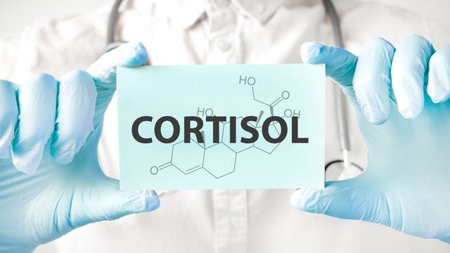 Hormonio cortisol desintoxicação