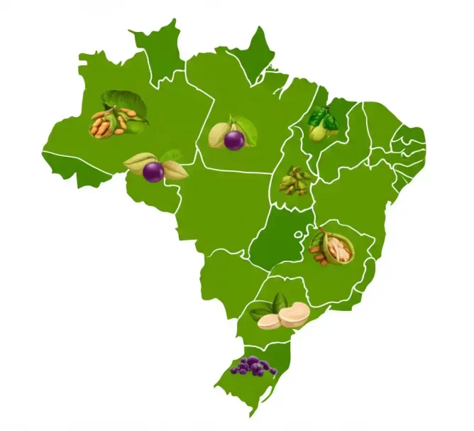 Superalimentos Regionais Brasileiros