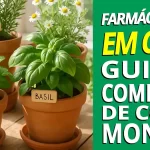 Farmácia viva caseira varanda vasos plantas medicinais montar farmácia viva inspiração