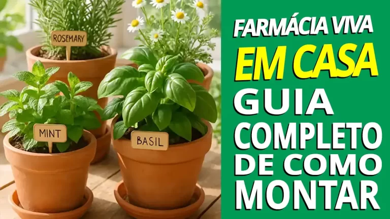 Farmácia viva caseira varanda vasos plantas medicinais montar farmácia viva inspiração